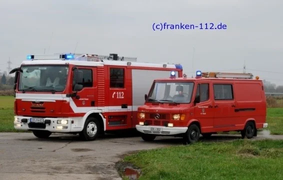 TSF_LF.jpg